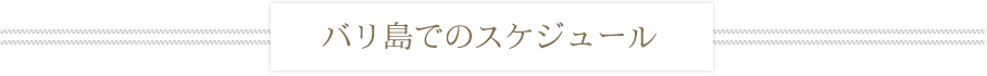バリ島でのスケジュール